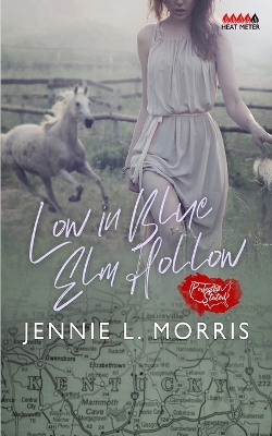 Book cover for Low in Blue Elm Hollow - A Mail Order Bride Story