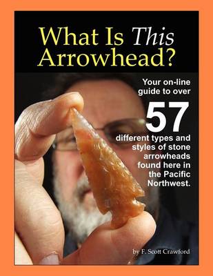 Book cover for What Is This Arrowhead?