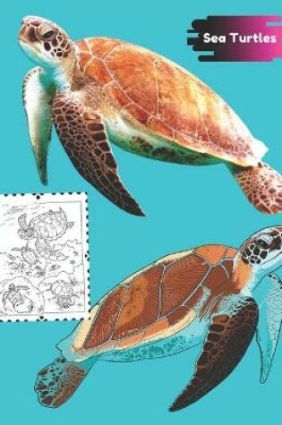 Cover of Sea Turtles