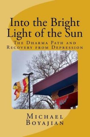 Cover of Into the Bright Light of the Sun