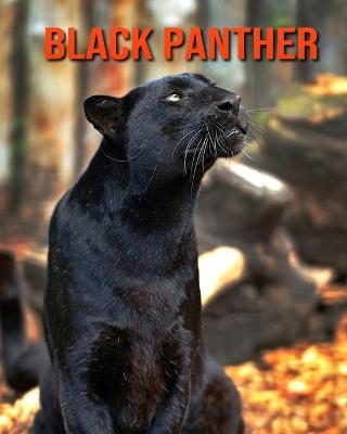 Book cover for Black Panther