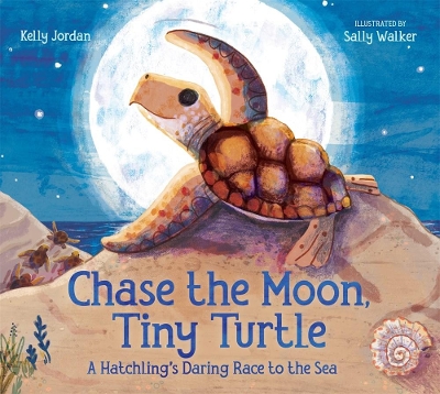 Cover of Chase the Moon, Tiny Turtle