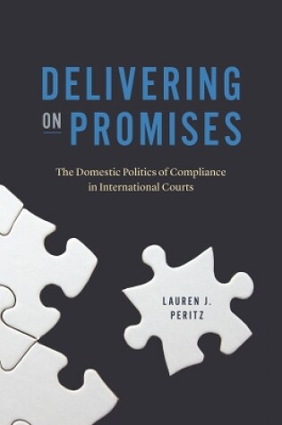 Cover of Delivering on Promises