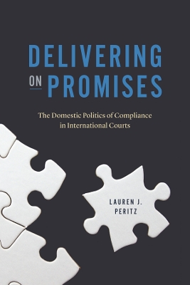 Cover of Delivering on Promises