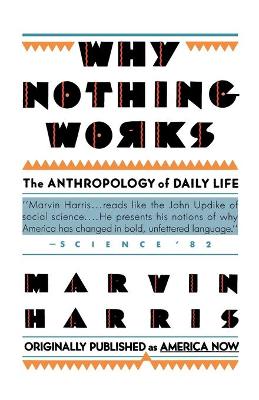 Book cover for Why Nothing Works