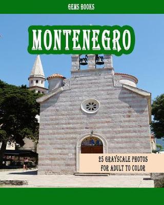 Book cover for Montenegro