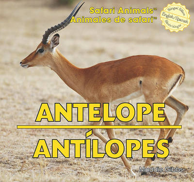 Book cover for Antelope / Antílopes