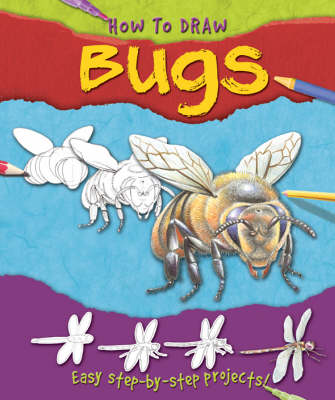 Book cover for How to Draw Bugs