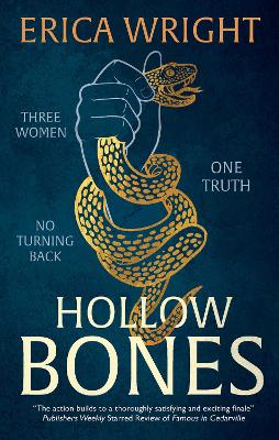 Book cover for Hollow Bones