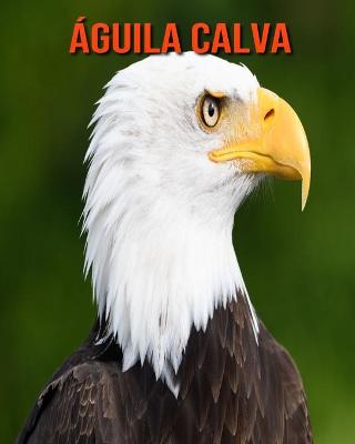 Book cover for Águila calva