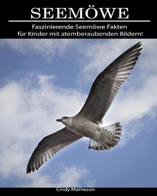 Book cover for Seemöwe