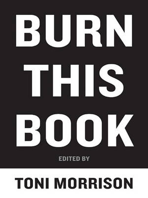 Book cover for Burn This Book