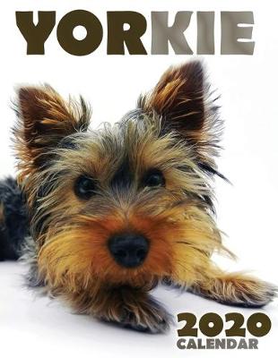 Book cover for Yorkie 2020 Calendar