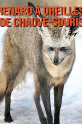 Cover of Renard à Oreilles de Chauve-Souris