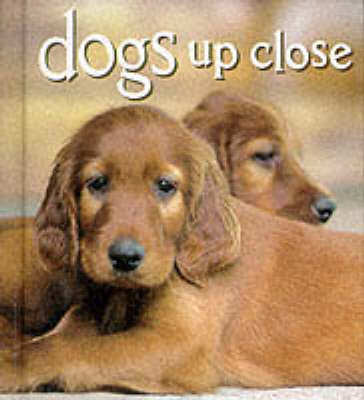 Book cover for Dogs Up Close