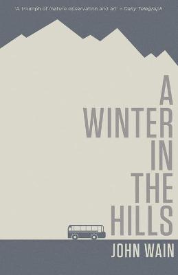 Book cover for A Winter in the Hills