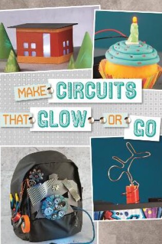 Cover of Make Circuits That Glow or Go