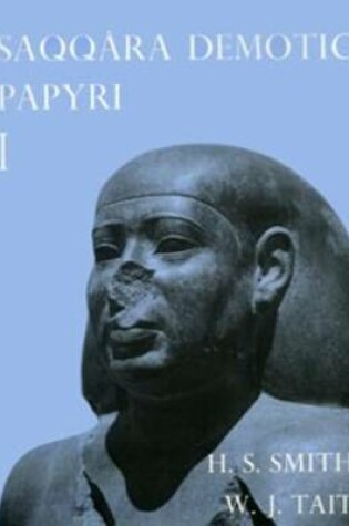 Cover of Saqqara Demotic Papyri