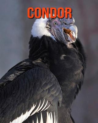 Book cover for Condor