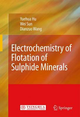 Book cover for Electrochemistry of Flotation of Sulphide Minerals