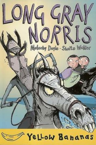 Cover of Long Gray Norris