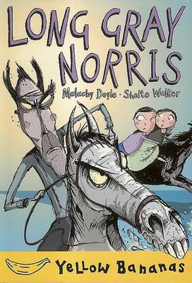 Book cover for Long Gray Norris