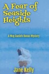 Book cover for A Fear of Seaside Heights