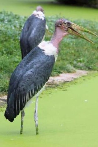 Cover of Marabu Stork Bird Journal