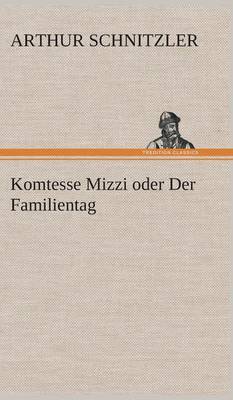 Book cover for Komtesse Mizzi Oder Der Familientag