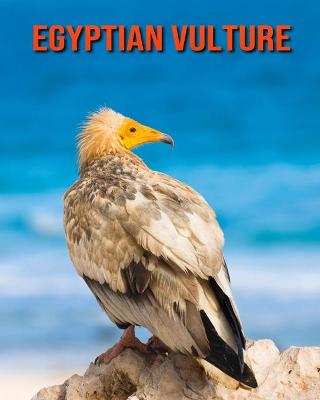 Book cover for Egyptian Vulture