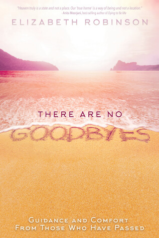 Book cover for There Are No Goodbyes