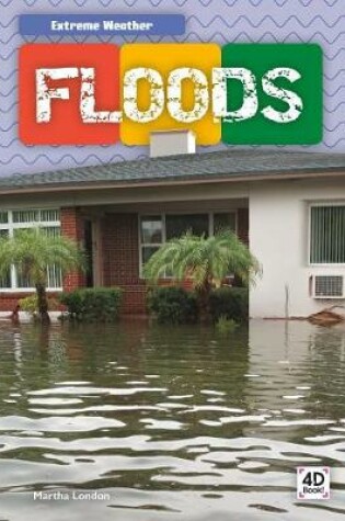 Cover of Floods