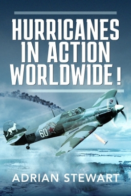 Book cover for Hurricanes in Action Worldwide!