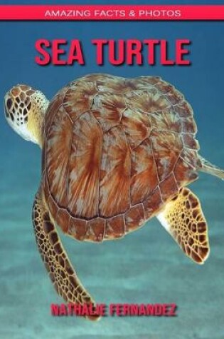 Cover of Sea turtle