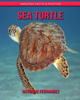 Book cover for Sea turtle