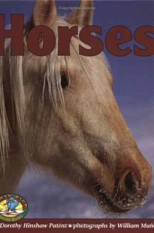 Cover of Horses