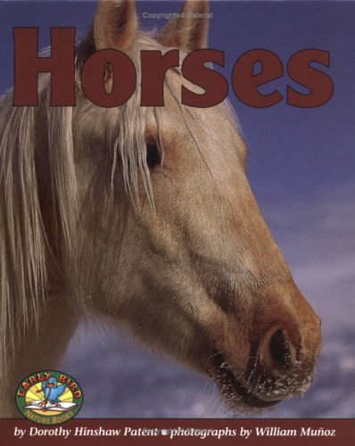 Cover of Horses