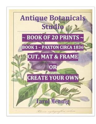 Book cover for Antique Botanicals Studio Book of 20 Prints Book II - Paxton Circa 1836 Cut, Mat & Frame or Create Your Own