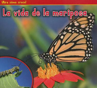 Cover of La Vida de la Mariposa