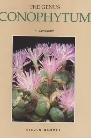 Cover of The Genus Conophytum