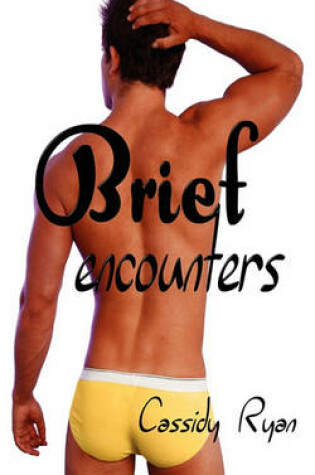 Cover of Brief Encounters