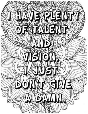 Book cover for I Have Plenty of Talent and Vision . I Just Don't Give a Damn .