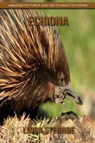 Cover of Echidna