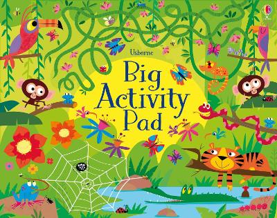 Book cover for Big Activity Pad