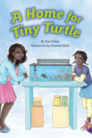 Cover of A Home for Tiny Turtle
