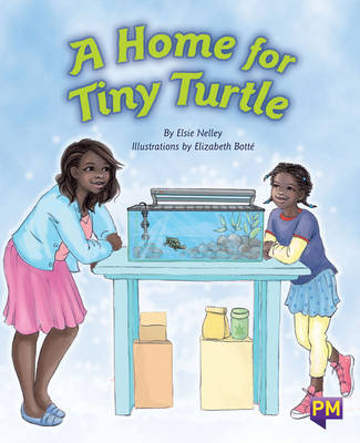 Book cover for A Home for Tiny Turtle