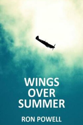 Cover of Wings Over Summer