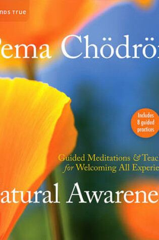 Cover of Natural Awareness