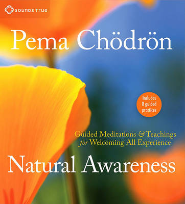 Book cover for Natural Awareness