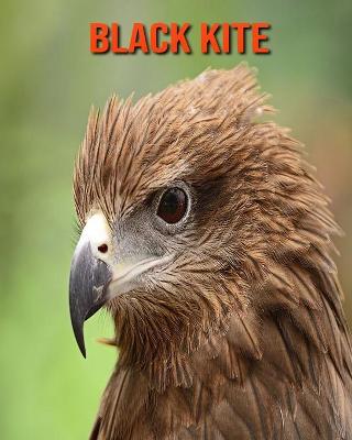 Book cover for Black kite